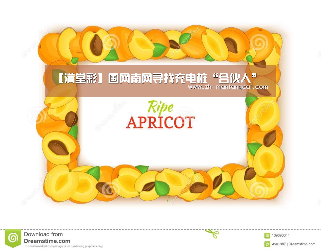 【满堂彩】国网南网寻找充电桩“合伙人”(图2) 满堂彩