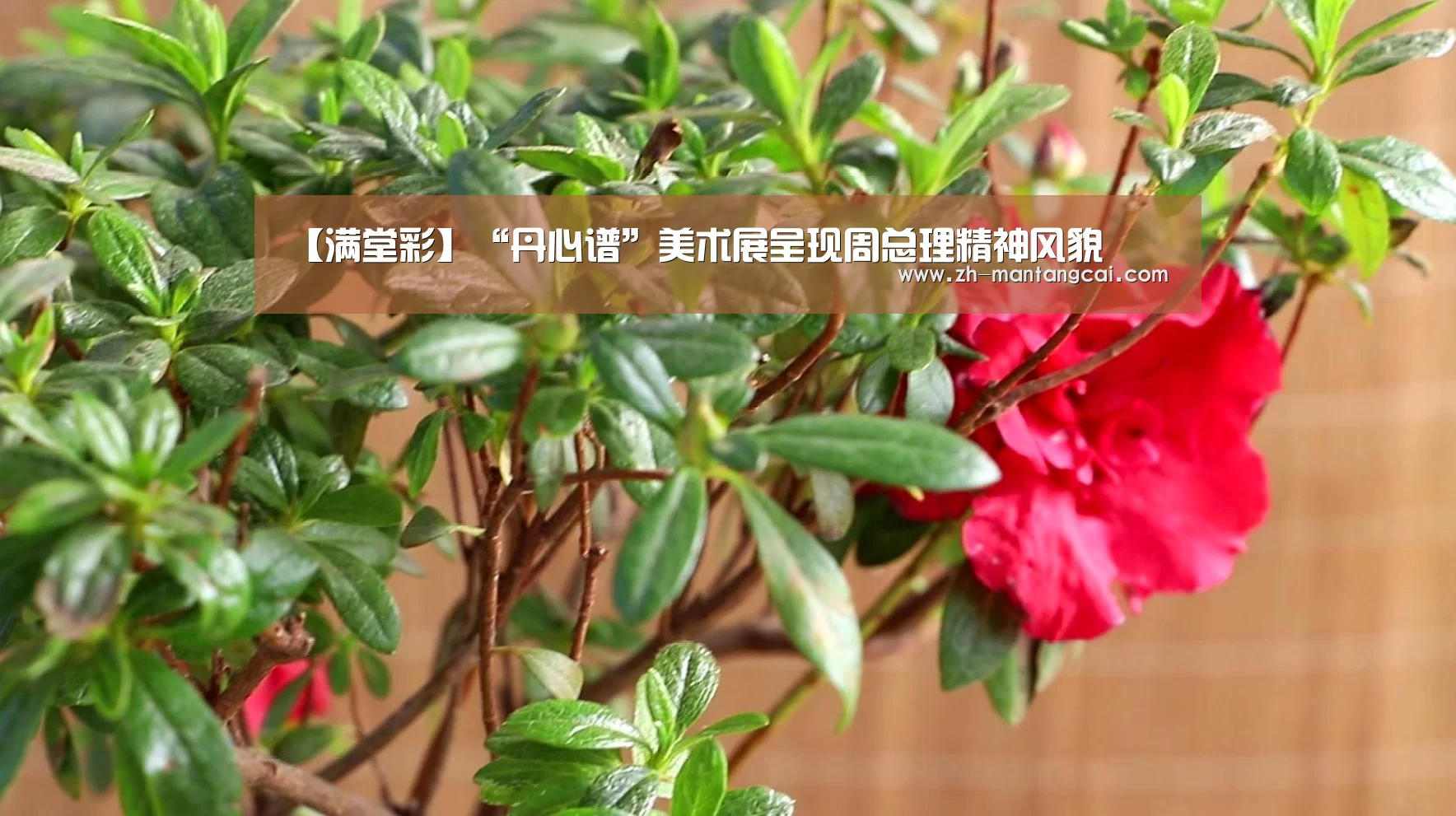 满堂彩